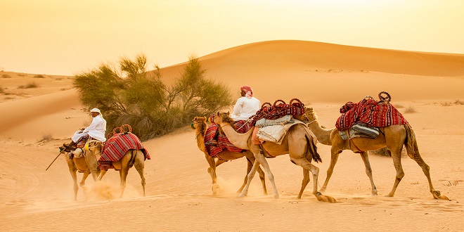 Weathering the Sands: Essential Tips for a Comfortable Desert Safari in Dubai