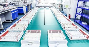 Oligo Synthesis Services